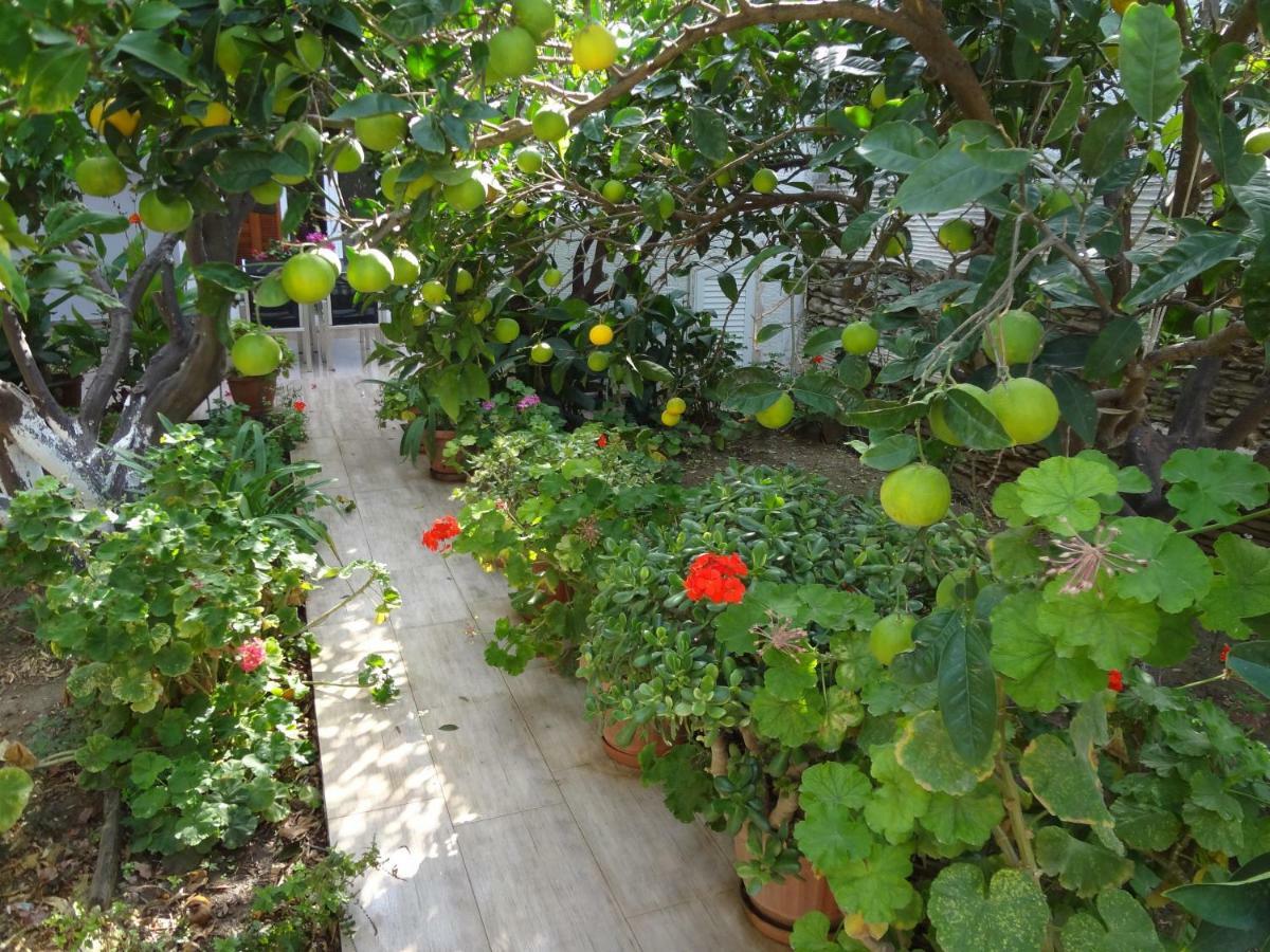 Cozy Citrus Garden House By The Seaside. Villa Khónias Exterior photo